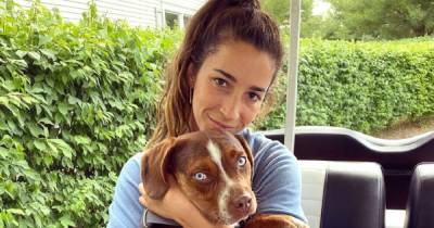 Aly Raisman’s Dog Mylo Is Found ‘Safe’ After Going Missing on 4th of July: ‘My Everything’ - www.usmagazine.com