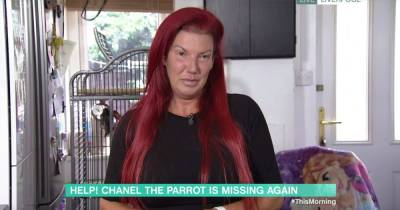 Chanel The African Grey's owner begs for parrot's safe return on This Morning - www.ok.co.uk - city Sandra