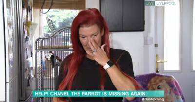 Chanel the parrot is missing again as owner makes tearful plea on This Morning - www.manchestereveningnews.co.uk - city Sandra