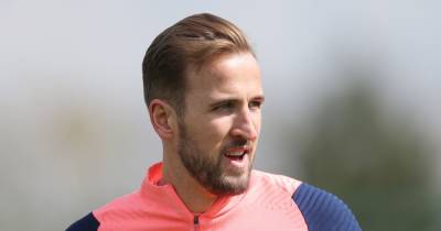 Harry Kane - Teddy Sheringham - The transfer claim that will spark Man City's attention in Harry Kane pursuit - manchestereveningnews.co.uk