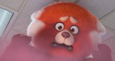 Pixar’s Turning Red Trailer: A girl turns into a mushy red panda in a film by ‘Bao’ Oscar winner; WATCH - www.pinkvilla.com