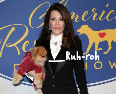 Woman Sues Lisa Vanderpump's Rescue Center After Allegedly Getting Worms From New Pet Pooch! - perezhilton.com - Los Angeles