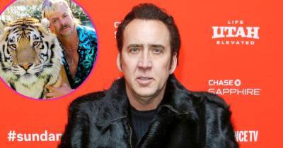 Nicolas Cage Won’t Portray Tiger King’s Joe Exotic as Amazon Shelves Project: ‘No Longer Relevant’ - www.usmagazine.com
