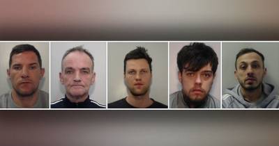 Five jailed after dopey criminal led police to multi-million pound cannabis factories said to be the 'largest in the North West' - www.manchestereveningnews.co.uk