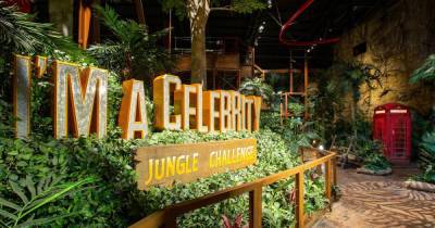 ITV's I'm A Celebrity Jungle Challenge at Salford Quays - opening date and sneak preview - www.manchestereveningnews.co.uk - Manchester
