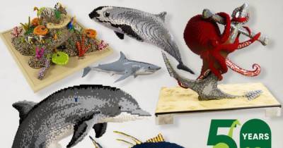 Sea sculptures made from 1million toy bricks to go on show at Knowsley Safari - www.manchestereveningnews.co.uk