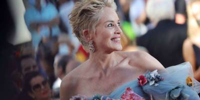 Sharon Stone was the belle of the ball at Cannes in a breathtaking fairytale gown - www.msn.com - county Stone