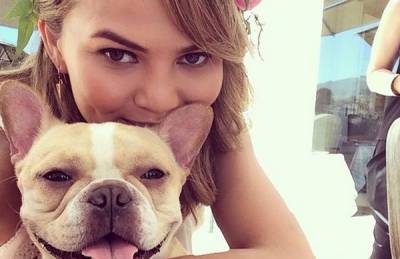 Chrissy Teigen Mourns the Death of Her Beloved Dog Pippa - www.justjared.com