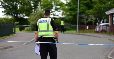 Probe into Glasgow 'garden' body find continues as further details of victim released - www.dailyrecord.co.uk