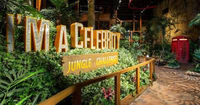 I'm A Celebrity Jungle Challenge you can experience on a day out from Liverpool - www.msn.com