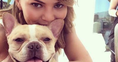 Chrissy Teigen left heartbroken after 'sweet and sassy' dog Pippa dies 'in her arms' - www.ok.co.uk