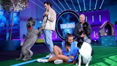 A+E Networks Competition Series ‘America’s Top Dog’ Remade By RTL In Germany - deadline.com - Germany