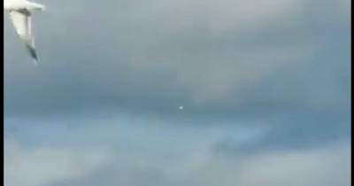 Scots man captures 'UFO' on camera as he films plane landing at Glasgow Airport - www.dailyrecord.co.uk - Scotland