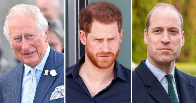 Prince Charles, William Are ‘Concerned’ About Prince Harry’s Memoir: The Family Is ‘Shaken Up’ - www.usmagazine.com