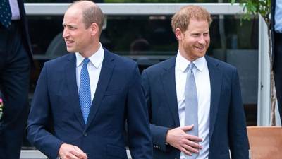How Prince William and Prince Harry Put on a 'United Front' at Princess Diana Event (Exclusive) - www.etonline.com - London