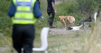Police find two handguns and ammo after officers seen 'digging' in huge woodlands search - www.manchestereveningnews.co.uk