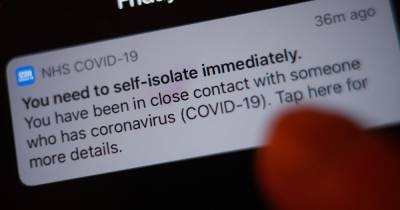 Is it illegal to ignore NHS Covid-19 app if you get told to self-isolate? - www.manchestereveningnews.co.uk - Britain