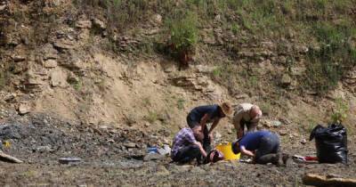‘Largest find of rare marine fossils ever discovered in the UK’ - www.msn.com - Britain