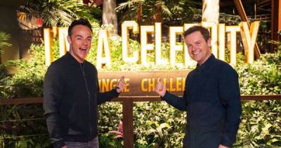 Ant and Dec give their verdict on new I'm a Celebrity Jungle Challenge attraction - www.msn.com