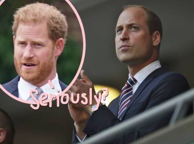 Prince William Has His OWN Book Coming Out -- Right After Harry Announced His Memoir! - perezhilton.com