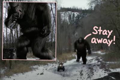New Bigfoot Video Goes Viral -- What Do YOU Think It Is?? - perezhilton.com - Michigan