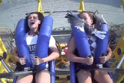 Teen slapped in the face by a seagull on 75-mph Sling Shot ride - nypost.com - New Jersey