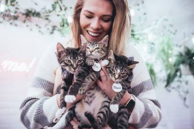 Crumbs & Whiskers Cat Café mixes food with feline philanthropy - www.metroweekly.com