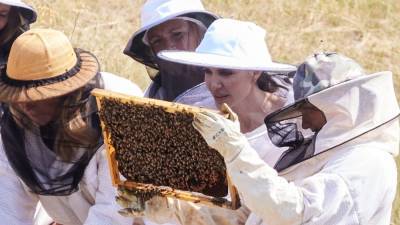 Angelina Jolie Celebrates Graduates of Her ‘Women for Bees’ Program In Full Beekeeper Suit - www.etonline.com - France