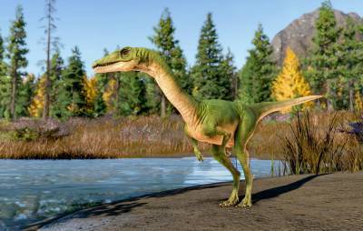 ‘Jurassic World Evolution 2’ Dev Diary has less Jeff Goldblum, more Pterodactyls - www.nme.com