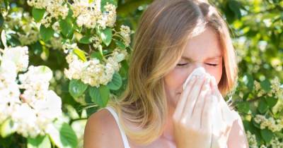 Key symptoms of 'Thunder fever' as storms predicted to increase pollen - www.dailyrecord.co.uk - Scotland