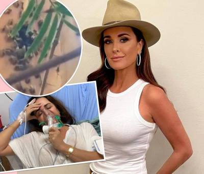 SO SCARY! RHOBH Star Kyle Richards Hospitalized After Accidentally Walking Into A Beehive! - perezhilton.com