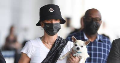 Kaley Cuoco Lands in NYC with Her Dog Dumps - www.justjared.com - New York