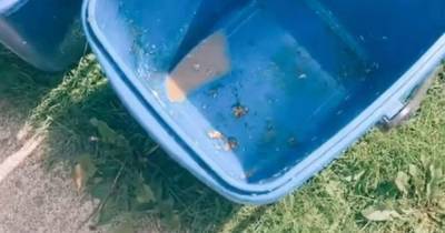 Woman shares 'life hack' to stop bin juice and flies in wheelie bins - www.manchestereveningnews.co.uk
