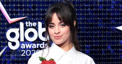 Camila Cabello Reacts After Backup Dancer Is Accused of Doing Blackface: ‘A White Man With a Terrible Spray Tan’ - www.usmagazine.com