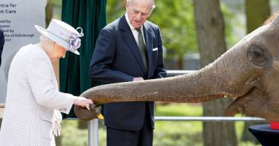 All of the Queen's exotic animals as she rescues endangered birds - www.ok.co.uk - city Sandringham