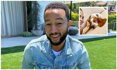 Chrissy Teigen and John Legend welcome Pearl the Basset Hound to their household - us.hola.com