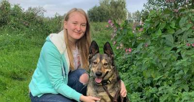 Two-legged rescue dog helps owner overcome fear of driving after horror fatal car crash - www.manchestereveningnews.co.uk - Romania