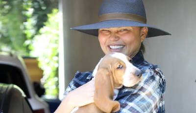 Chrissy Teigen steps out in public with new basset hound puppy after death of dog Pippa - www.foxnews.com - Santa Monica