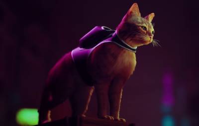 Cat adventure game ‘Stray’ delayed to 2022 but gets new meaty trailer - www.nme.com