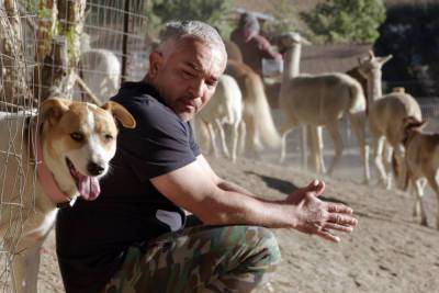 Dog Whisper Cesar Millan returns with new show on pandemic pooches - nypost.com