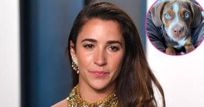 Aly Raisman Loses Dog on July 4th Weekend: ‘Mylo Was Terrified of Fireworks and Ran Off’ - www.usmagazine.com - Boston