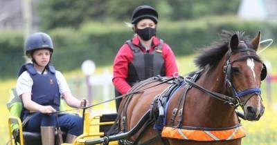 Dumfriesshire's Chariots of Fire equestrian centre hosts first competition for nearly two years - www.dailyrecord.co.uk