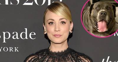 Kaley Cuoco and Husband Karl Cook Adopt New Dog Larry 5 Months After the Death of Pooch Norman - www.usmagazine.com - Los Angeles