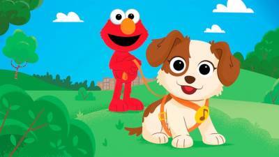 On 'Sesame Street,' Elmo gets a puppy (cue adorableness) - abcnews.go.com - New York