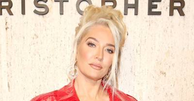 Erika Jayne Hires New Attorney After First Lawyer Briefly Dropped Her Amid ‘Housewife and the Hustler’ Drama - www.usmagazine.com