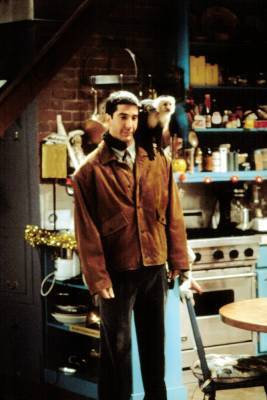 David Schwimmer Was ‘Jealous’ Of Monkey From ‘Friends’, Suggests Animal Trainer Mike Morris - etcanada.com
