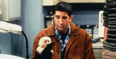 David Schwimmer Was 'Jealous' of Monkey Marcel on 'Friends,' Animal Trainer Says - www.justjared.com