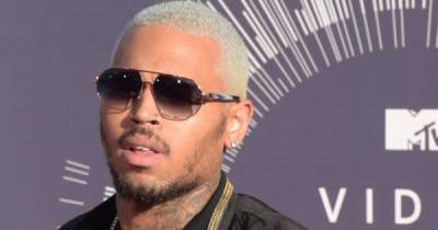 Chris Brown's housekeeper sues over alleged dog attack - www.msn.com - California