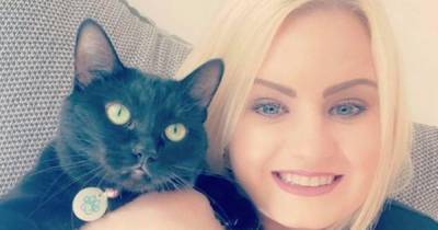 Paisley cat owner's warning after food linked to deadly feline disease - www.dailyrecord.co.uk