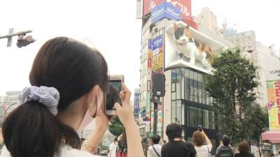 Alarming ‘Catzilla’ pounces on downtown Tokyo - nypost.com - Japan - Tokyo
